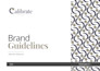 craft a luxury brand style guide, brandbook, and brand guidelines